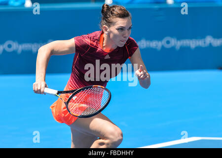 Sydney, Australien. 15. Januar 2016. Simona Halep (ROU) in Aktion gegen Svetlana Kuznetsova (RUS) während ihrer Damen Halbfinale am 6. Tag bei Apia International Sydney. Bildnachweis: Action Plus Sport Bilder/Alamy Live News Stockfoto