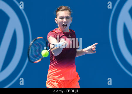 Sydney, Australien. 15. Januar 2016. Simona Halep (ROU) in Aktion gegen Svetlana Kuznetsova (RUS) während ihrer Damen Halbfinale am 6. Tag bei Apia International Sydney. Bildnachweis: Action Plus Sport Bilder/Alamy Live News Stockfoto