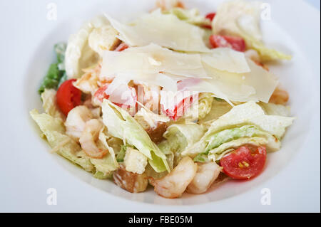 Caesar Salat mit Garnelen auf weißen Teller Studio gedreht Stockfoto