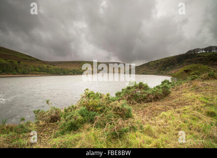 Meldon Reservoir im Dartmoor National Park Stockfoto