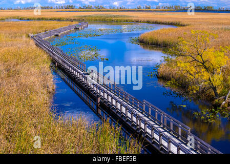 Fußgängerbrücke in Point-Pelee-Nationalpark Stockfoto