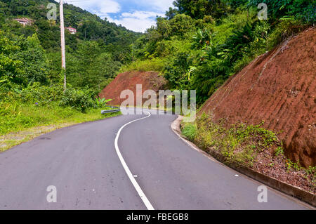 Kurvenreiche Strecke durch Dominica, Karibik-Inseln Stockfoto