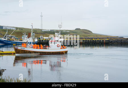 Island Hvammstangi Nordwesten Islands Dichtung beobachten Boot am Pier mit Touristen in orange Regenmäntel Stockfoto