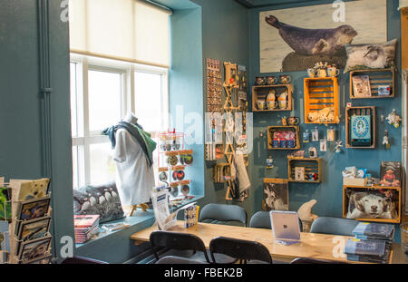 Island Hvammstangi Nordwesten Islands Seal Museum Innenraum mit souvenirs Stockfoto