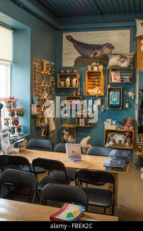 Island Hvammstangi Nordwesten Islands Seal Museum Innenraum mit souvenirs Stockfoto