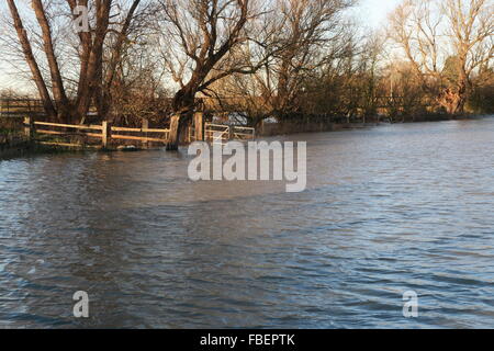 Überfluteten Feldern und Road bei Sutton Gault in Cambridgeshire Stockfoto