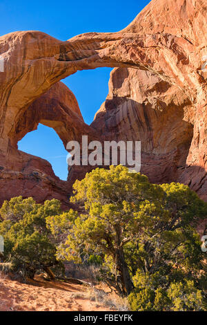 Doppelbogen, Arches-Nationalpark Stockfoto