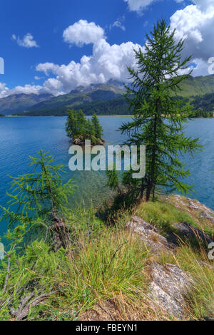 Erstaunliche Sonnentag am Silsersee See in den Schweizer Alpen. Segl, Schweiz, Europa. Stockfoto