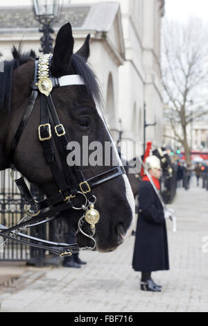 Pferd-Wachposten am Horseguards Parade ground Stockfoto