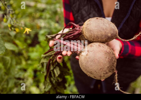 Frau hält und halten rote Beete Stockfoto