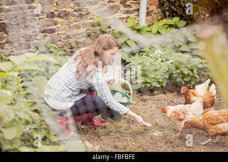 Junge Frau, die Hühner füttern Stockfoto