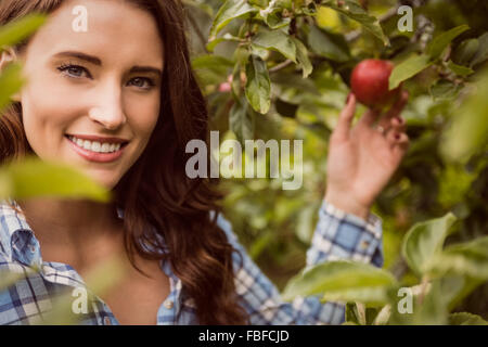 Porträt der Frau berühren Apfel Stockfoto