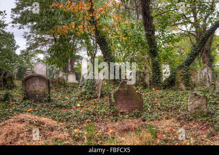 Alter jüdischer Friedhof bei Kolin Stockfoto