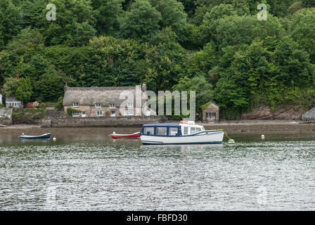 Ein Blick über den Fluss Dart gegenüber alten strohgedeckten Hütten in der Nähe von Dittisham, Dartmouth, Devon, England, UK. Stockfoto