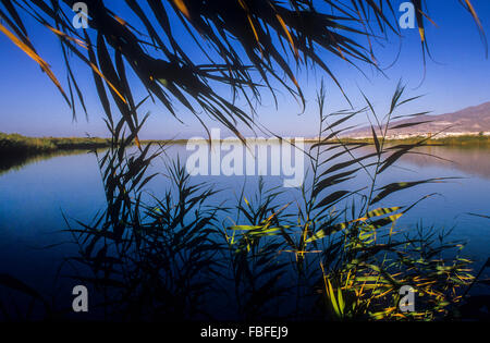 Europa, Spanien, Almeria, Adra port Stockfoto, Bild ...