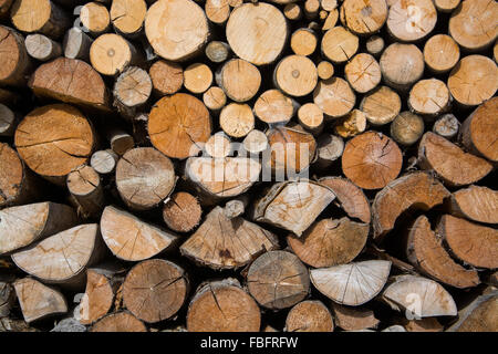 Brennholz zum Trocknen und warten auf die Winterzeit geheftet. Stockfoto