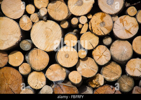 Brennholz zum Trocknen und warten auf die Winterzeit geheftet. Stockfoto