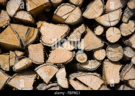 Brennholz zum Trocknen und warten auf die Winterzeit geheftet. Stockfoto