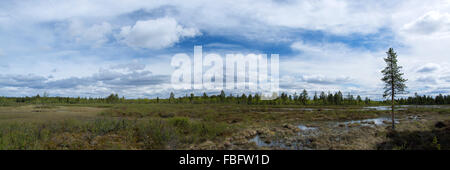 Landschaft im Norden von Finnland, Foto aufgenommen im Sommer. Stockfoto