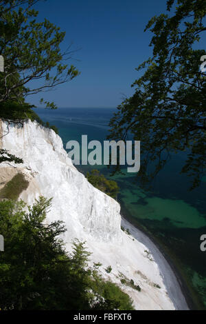 Mons Klint sind der 6 km langen Kreidefelsen entlang der östlichen Küste der dänischen Insel Mon in der Ostsee. Stockfoto