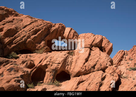 Whitney Pocket ist ein kleiner Bereich des gestreiften Sandsteinfelsen an der Gold Butte Backcountry Byway. Stockfoto