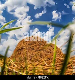 Heuhaufen Heu Natur Himmel Netz Vektor-illustration Stock Vektor