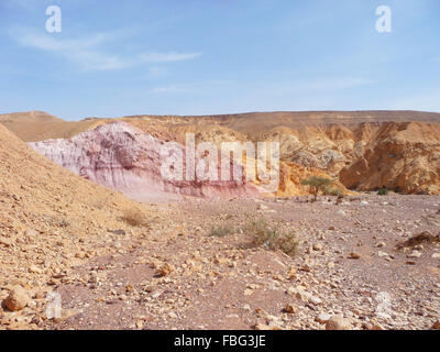 Schöne rote und rosa Farben des Sandsteins Red Canyon in den Bergen des südlichen Eilat, Israel Stockfoto