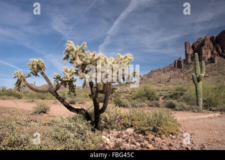 Lost Dutchman State Park ist ein 320 Hektar großen State Park in der Nähe der Superstition Mountains in Zentral-Arizona, USA. Stockfoto