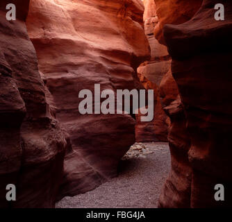 Schöne Farben und Beleuchtung in der Meerenge von Red Canyon in den Bergen des südlichen Eilat, Israel Stockfoto