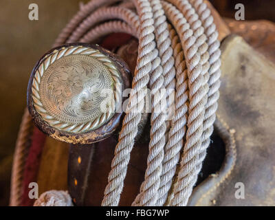 Eine Nahaufnahme von einer silbernen gravierte Antik Sattel-Horn und ein Lasso aufgerollt in einer Scheune mit Fensterlicht um ihn herum. Stockfoto