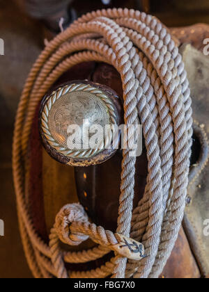 Eine Nahaufnahme von einer silbernen gravierte Antik Sattel-Horn und ein Lasso aufgerollt in einer Scheune mit Fensterlicht um ihn herum. Stockfoto