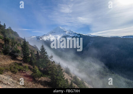 Nebel über den Pass in der Nähe von Mount Hood Hinterkante.  Mt. Hood National Forest, Oregon Stockfoto