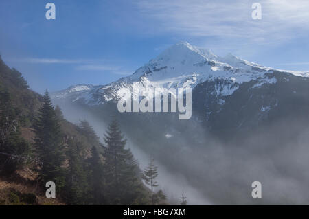 Nebel über den Pass in der Nähe von Mount Hood Hinterkante.  Mt. Hood National Forest, Oregon Stockfoto