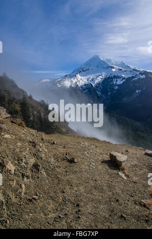 Nebel über den Pass in der Nähe von Mount Hood Hinterkante.  Mt. Hood National Forest, Oregon Stockfoto