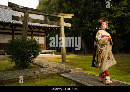 Maiko (ein Lehrling Geiko) in Kyoto, Japan Stockfoto