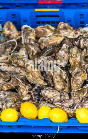 Austern-Markt in Cancale, Bretagne, Frankreich. Schuss mit einer selektiven Fokus Stockfoto