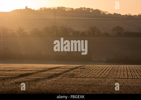 Hill Farm, Morestead, Hampshire, UK, 16. Januar 2016. Großbritannien Wetter. Tagesanbruch sieht eine feine Wintermorgen mit Frost und klarem Himmel als tiefstehende Sonne über die Felder fegt.  Bildnachweis: Patricia Phillips/Alamy Live-Nachrichten Stockfoto