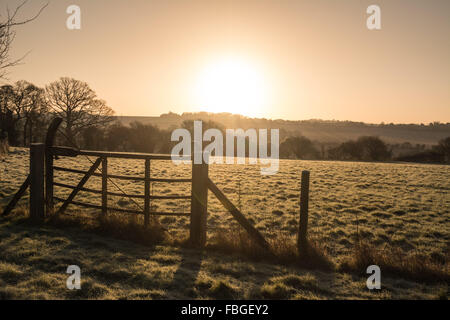 Hill Farm, Morestead, Hampshire, UK, 16. Januar 2016. Großbritannien Wetter. Tagesanbruch sieht eine feine Wintermorgen mit Frost und ein klarer Himmel.  Bildnachweis: Patricia Phillips/Alamy Live-Nachrichten Stockfoto