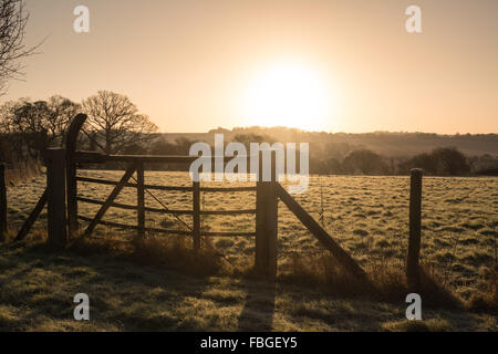 Hill Farm, Morestead, Hampshire, UK, 16. Januar 2016. Großbritannien Wetter. Tagesanbruch sieht eine feine Wintermorgen mit Frost und ein klarer Himmel.  Bildnachweis: Patricia Phillips/Alamy Live-Nachrichten Stockfoto