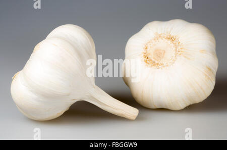 Paar von Knoblauch Zwiebeln Stockfoto