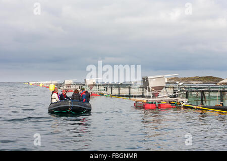 Menschen im Schlauchboot auf eine Fischzucht Stockfoto