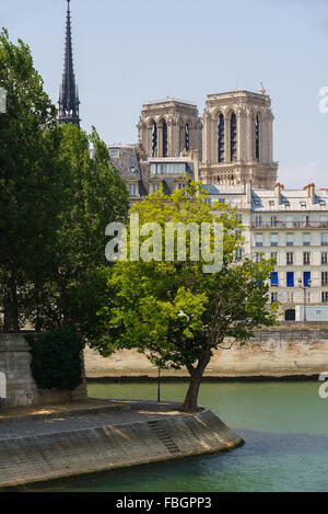 Tipp von Ile Saint Louis mit Türmen und Turm der Kathedrale Notre Dame de Paris auf der Ile De La Cite, entlang der Seine im Sommer Stockfoto