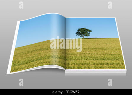 Eine Eiche und einer Bank stehend auf einem Hügel in einem Weizenfeld im Sommer Stockfoto