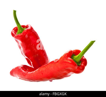 Zwei rote Paprika auf weißem Hintergrund Stockfoto