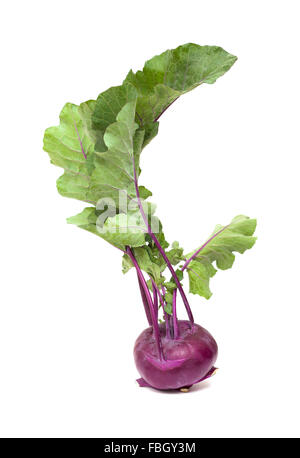 Violette Kohlrabi Kohl isoliert auf weiss Stockfoto