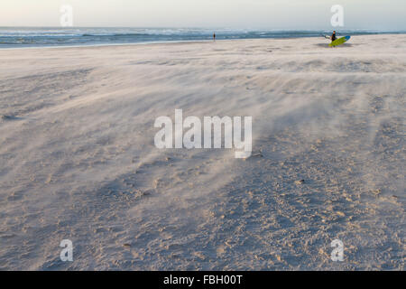 Starker Wind bläst Sand über den Strand. Stockfoto