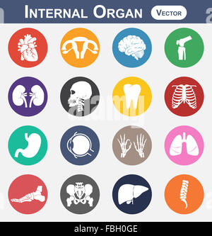 Interne Organ-Symbol (Herz, Gebärmutter (Uterus), Gehirn, Knie, Niere, Schädel, Hals, Zahn, Brust, Magen, Augen, Hände, lu Stockfoto