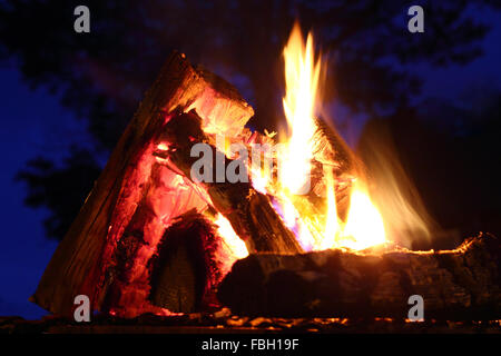 Ein Lagerfeuer über die dunklen Bäume auf blauen Himmel Extrim Nahaufnahme Foto Stockfoto