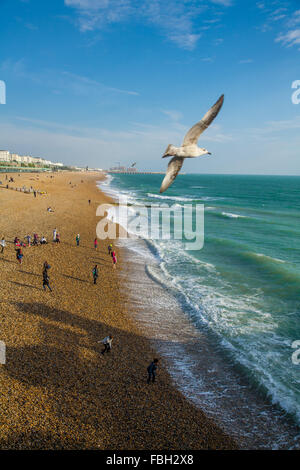 Möwen fliegen über Brighton beach Stockfoto