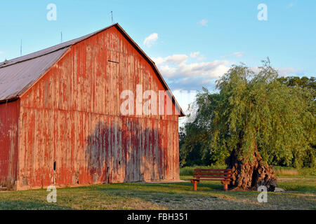 Verwitterte Holz rote Scheune mit Baum Schatten in Michigan. Stockfoto